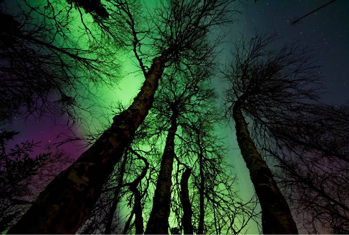 Dışarı Çıkmaktır Aşk