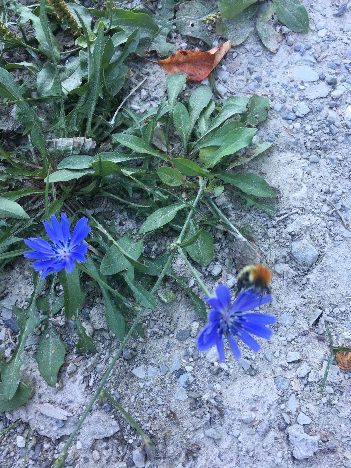 Gerçek Düşünce Duyulur!