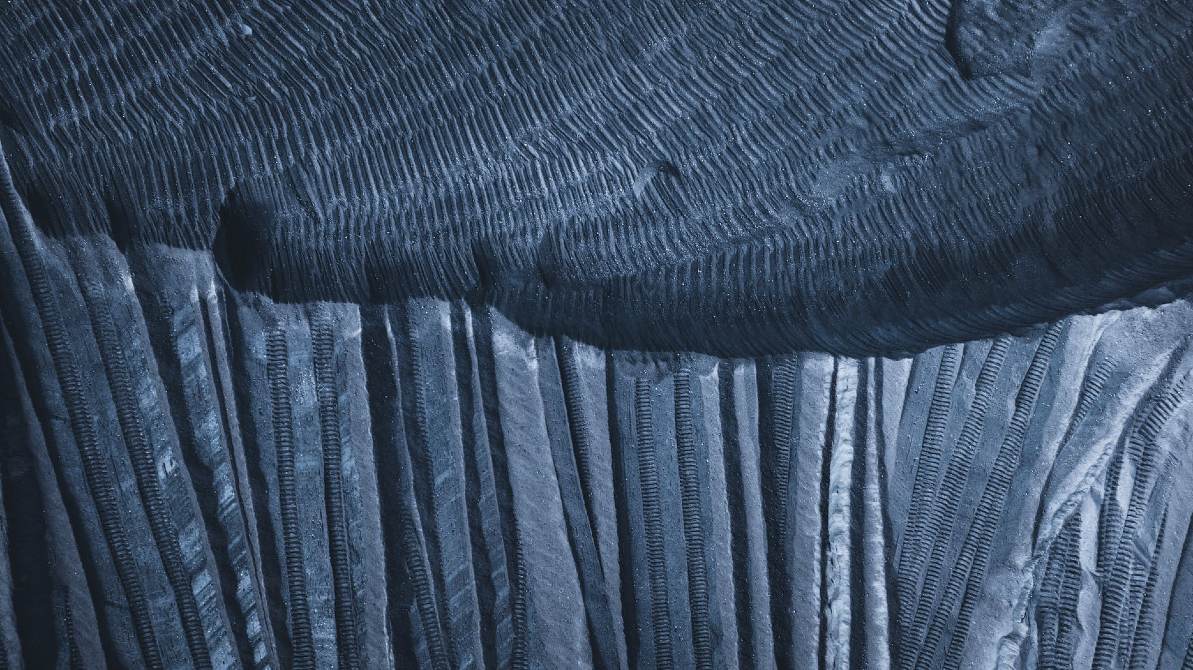 Korona Olmasaydı Yazısı Üzerine