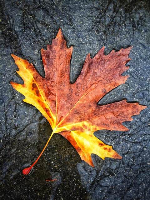 2022 – Yeni Umutlar